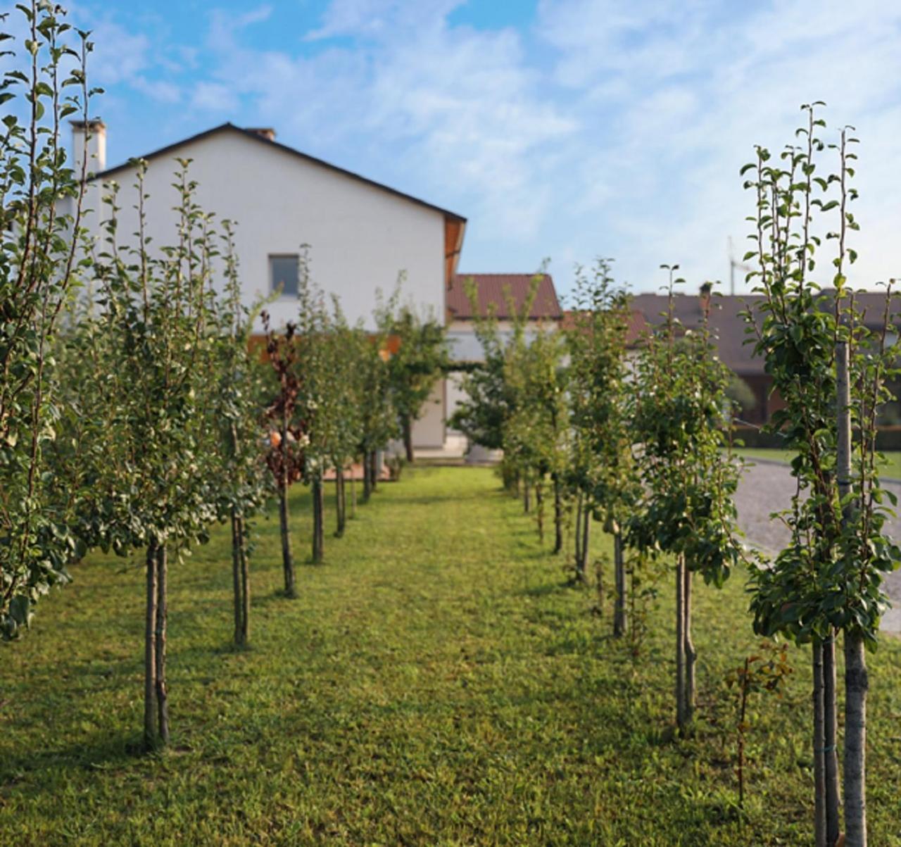 Agriturismo Corte Foscara Malcontenta Ngoại thất bức ảnh
